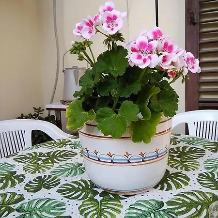 Soleluna Della Solidarieta Bed & Breakfast Palermo