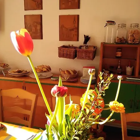 Soleluna Della Solidarieta