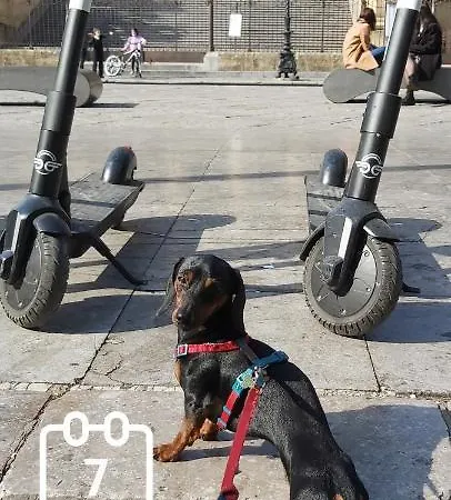 Soleluna Della Solidarieta Palermo