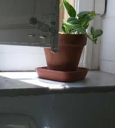 Soleluna Della Solidarieta 4*