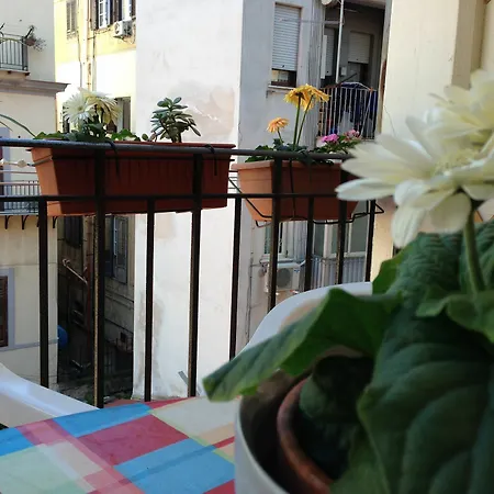 Soleluna Della Solidarieta Palermo